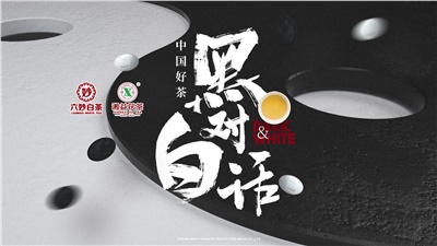 首屆黑白對話高峰論壇圓滿落幕！湘益茯茶備受關注！